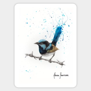 Balanced Blue Wren Sticker